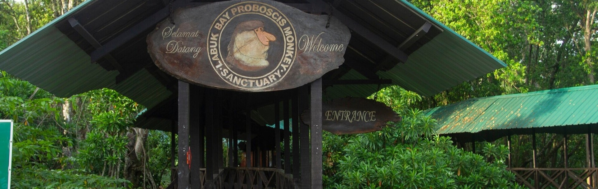 Labuk Bay Proboscis Monkey Sanctuary